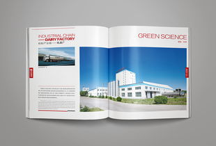 凝練品牌精髓，彰顯卓越風范——洛娃集團畫冊整合設計與企業形象策劃